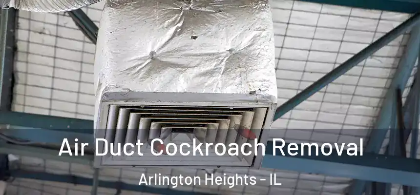  Air Duct Cockroach Removal Arlington Heights - IL