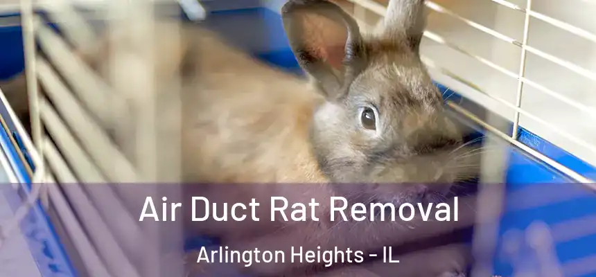  Air Duct Rat Removal Arlington Heights - IL