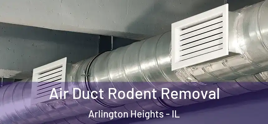  Air Duct Rodent Removal Arlington Heights - IL