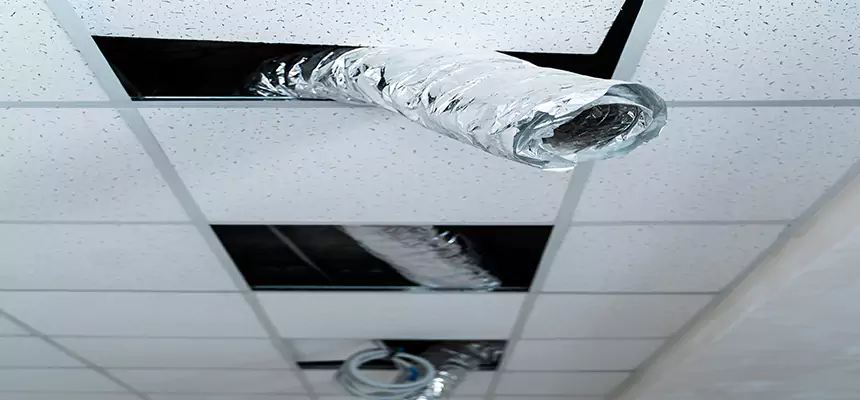 Affordable HVAC Sanitizing After Pest Removal in Arlington Heights