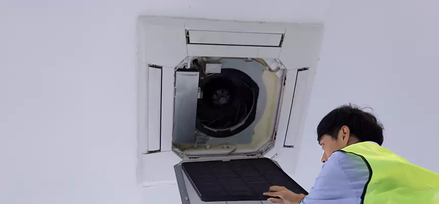 Our Dryer Vent Sanitization Service Services in Arlington Heights, IL