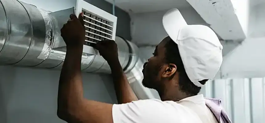 Our Licensed And Insured Cleaners in Arlington Heights, IL