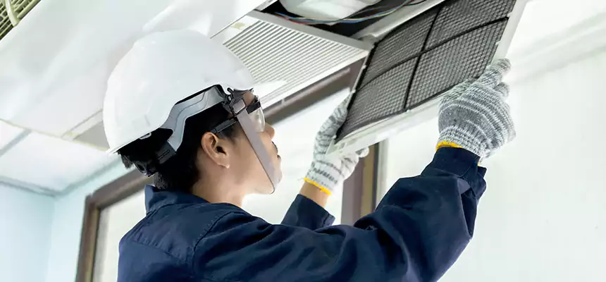 Our Mold & Mildew Removal from Air Ducts Services in Arlington Heights, IL