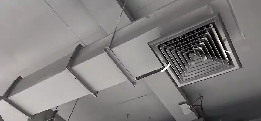 Our Pest Removal From Ducts Services in Arlington Heights, IL