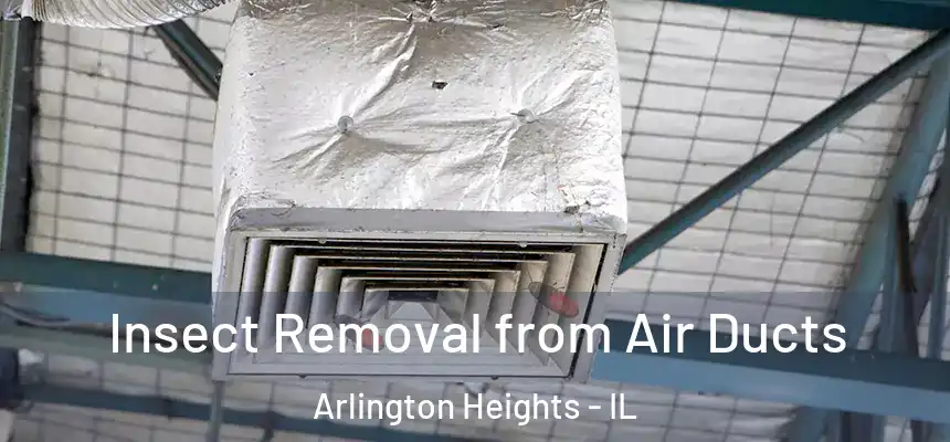  Insect Removal from Air Ducts Arlington Heights - IL