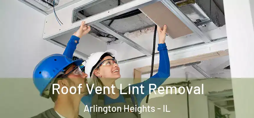  Roof Vent Lint Removal Arlington Heights - IL