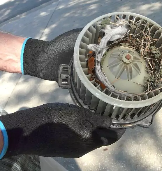 About Air Duct Mice Removal in Arlington Heights, IL