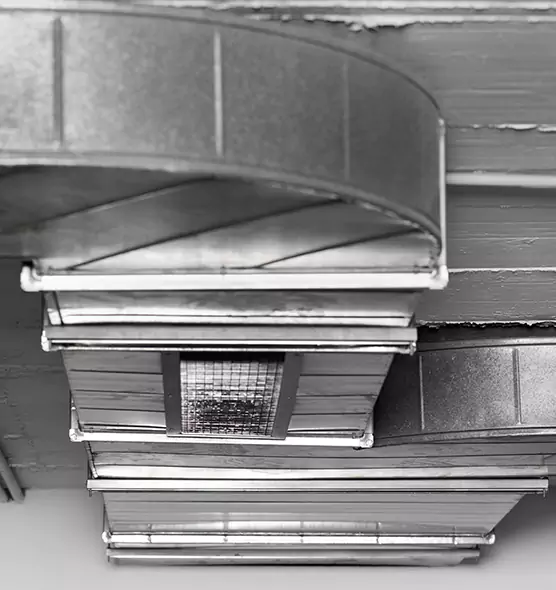 Professional Air Duct Pet Hair Removal in Arlington Heights, IL