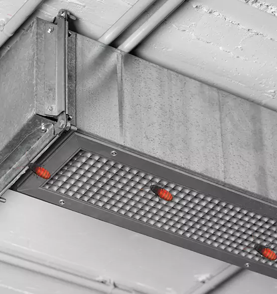 Affordable Insect Removal from Air Ducts in Arlington Heights, IL