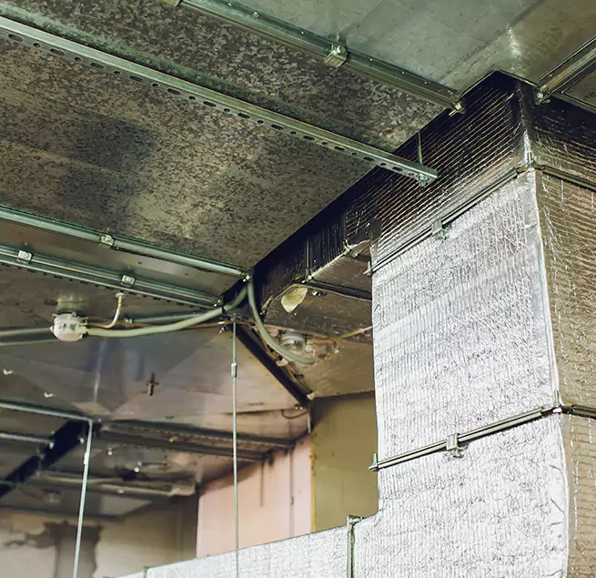 Why Homeowners & Businesses Trust Us in Arlington Heights, IL?